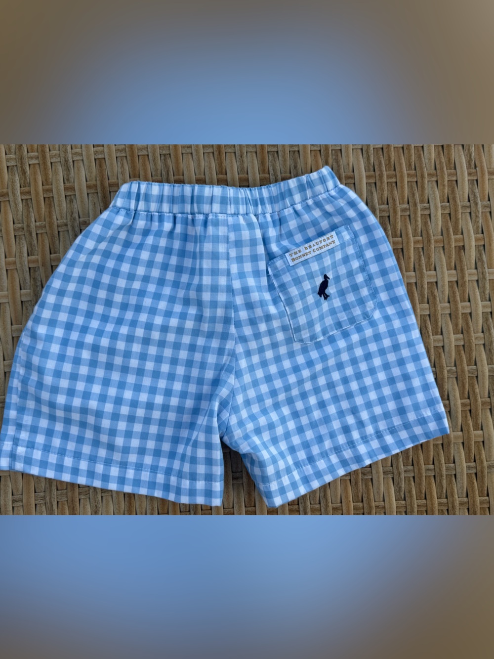 TBBC Shelton Shorts Light Blue Gingham Shorts with Navy Pelican size 5